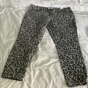 Loft leopard print jeans